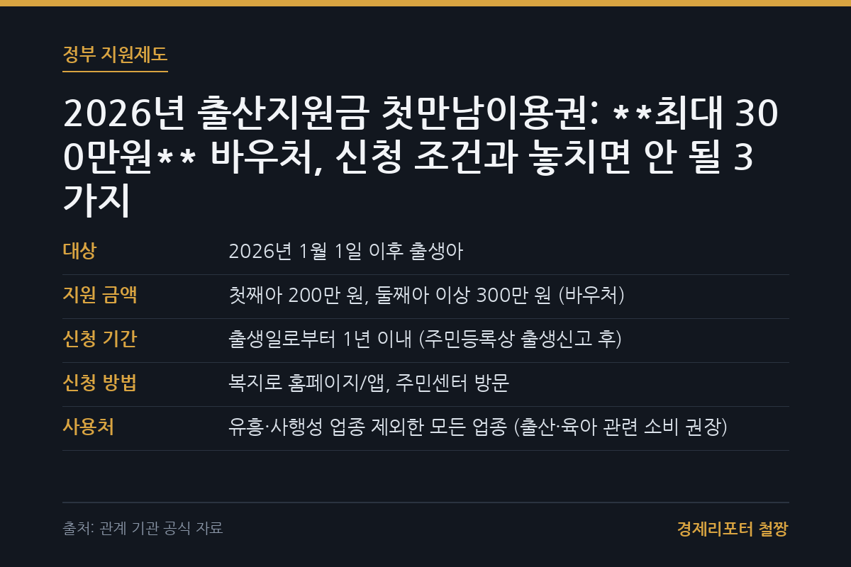 출산지원금 첫만남이용권 관련 이미지