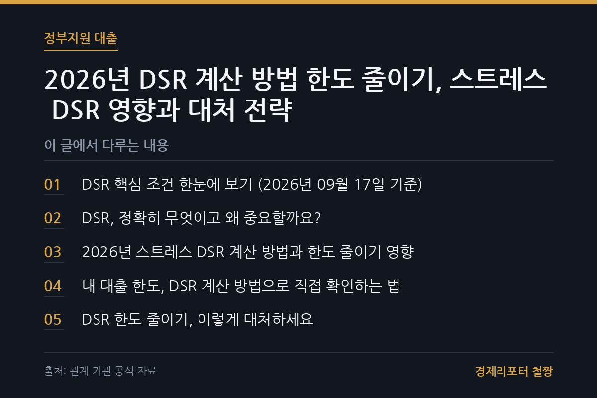 DSR 계산 방법 한도 줄이기 관련 이미지